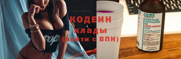 дмт Богородск