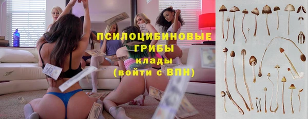 MDMA Богданович