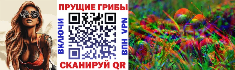 Псилоцибиновые грибы Psilocybine cubensis  Нарткала 